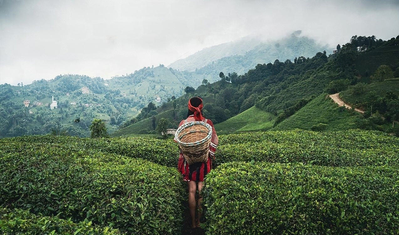 Doğu Karadeniz Batum Turu